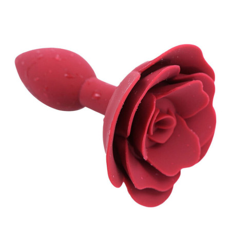 Plug Anal