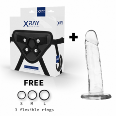 Xray Arnés + Dildo Transparente Sin Testículos